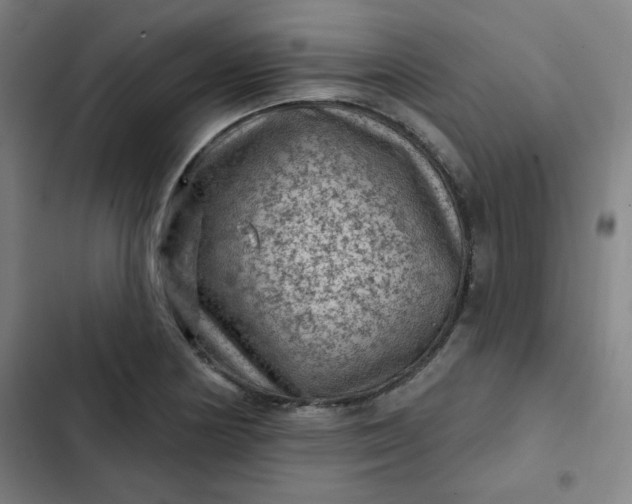 X0000102461178200808221612