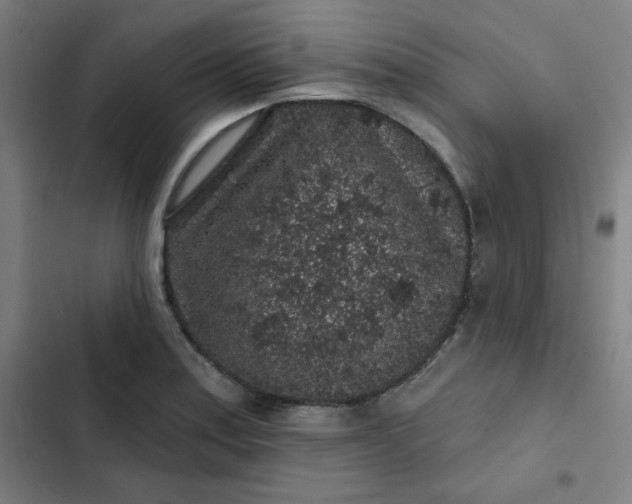 X0000102461179200808221612