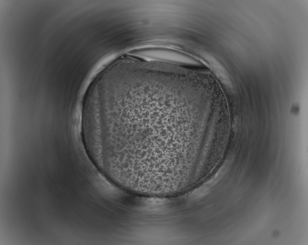 X0000102461180200808221612