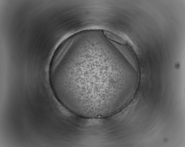 X0000102461181200808221612