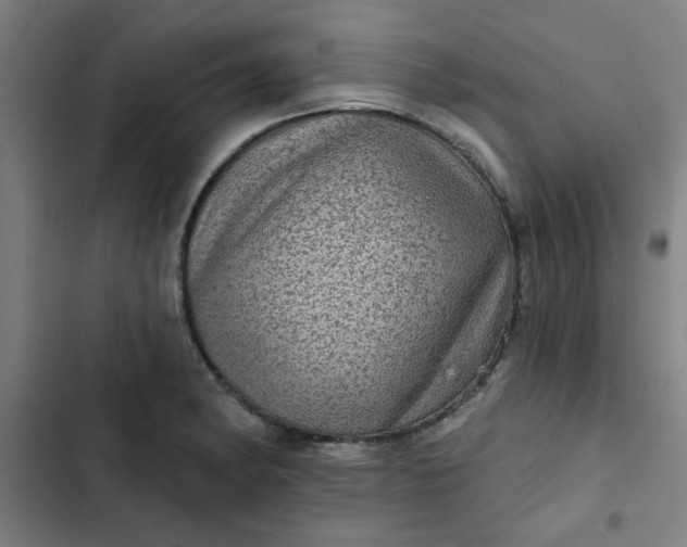 X0000102461182200808221612