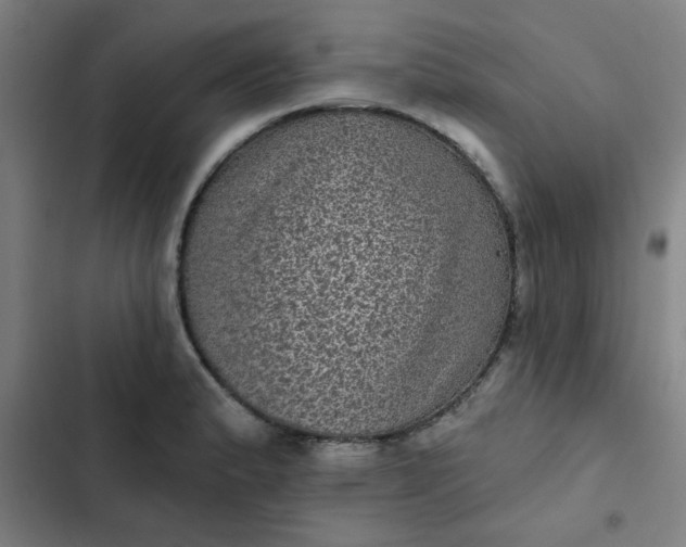 X0000102461183200808221612