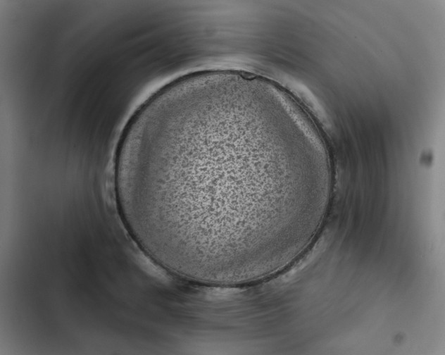 X0000102461184200808221612