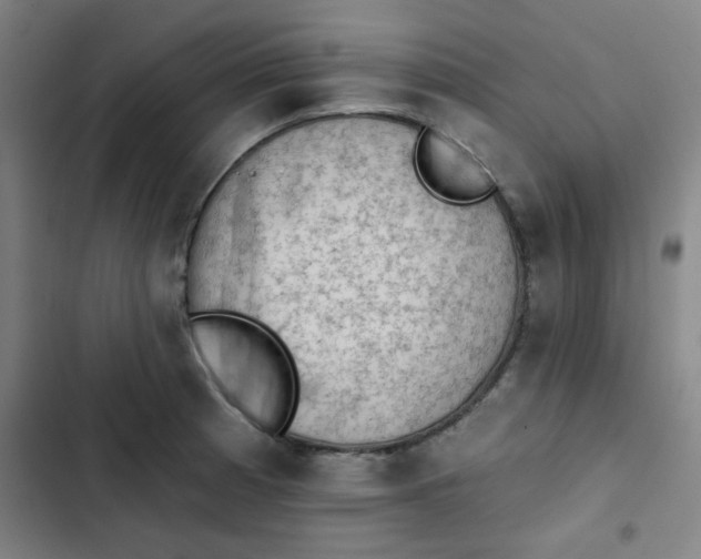 X0000102461185200808221612