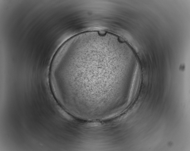 X0000102461186200808221612