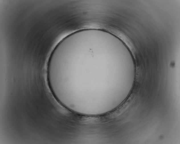 X0000102461187200808221612