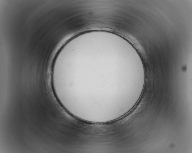 X0000102461188200808221612