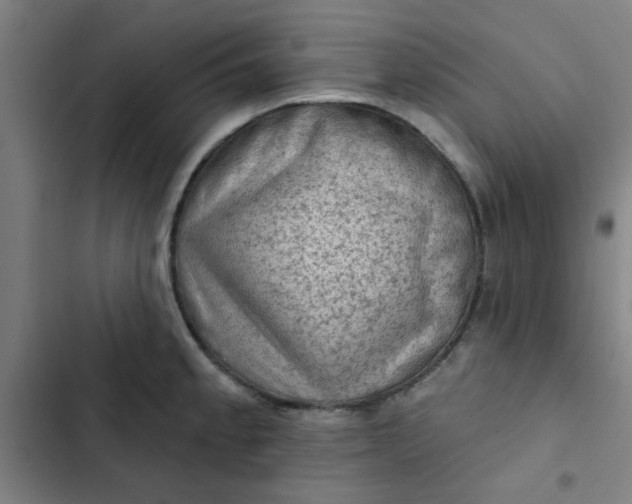 X0000102461189200808221612