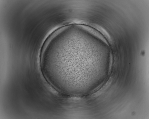 X0000102461190200808221612