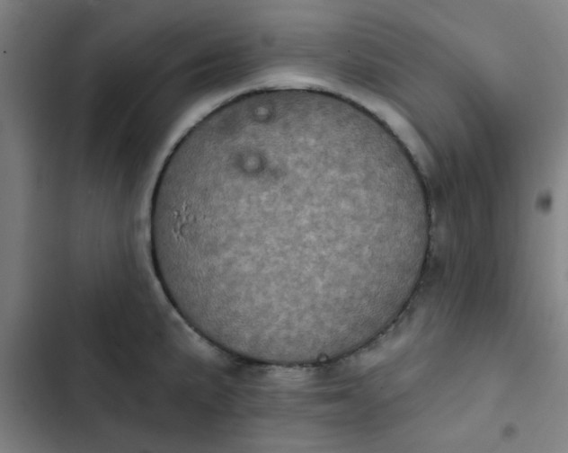 X0000102461191200808221612