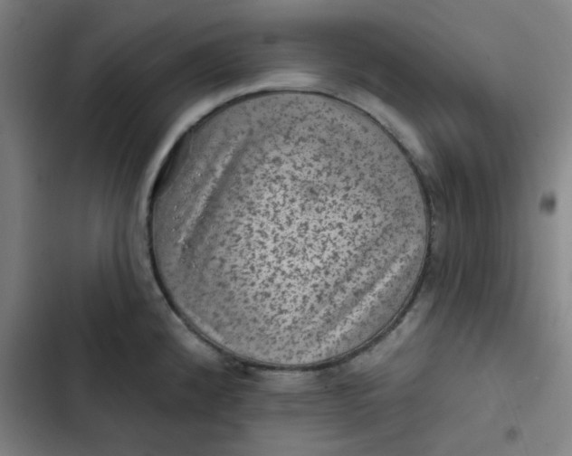 X0000102461192200808221612