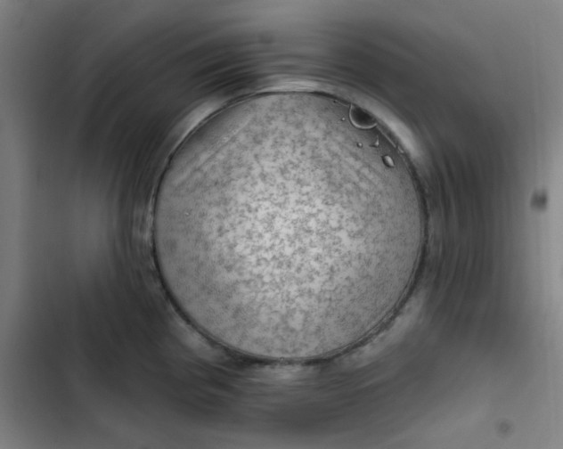 X0000102461193200808221612