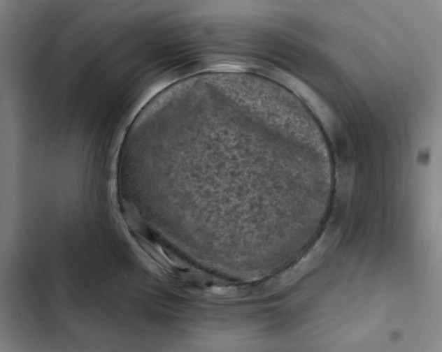 X0000102461194200808221612