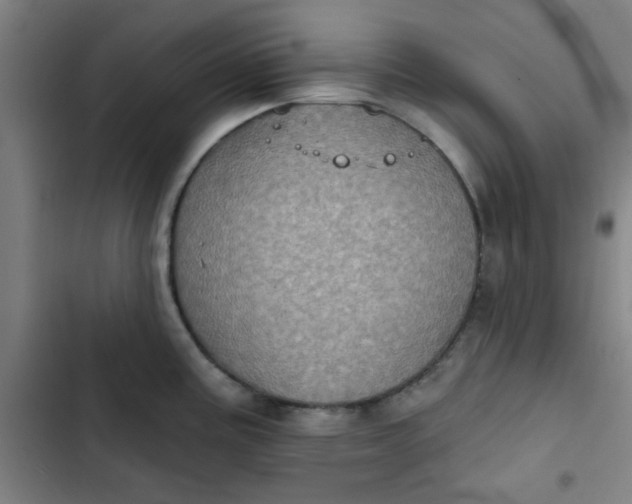 X0000102461195200808221612