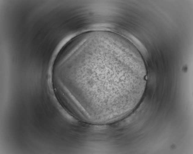 X0000102461196200808221612