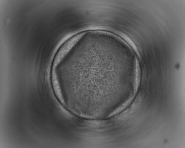 X0000102461197200808221612