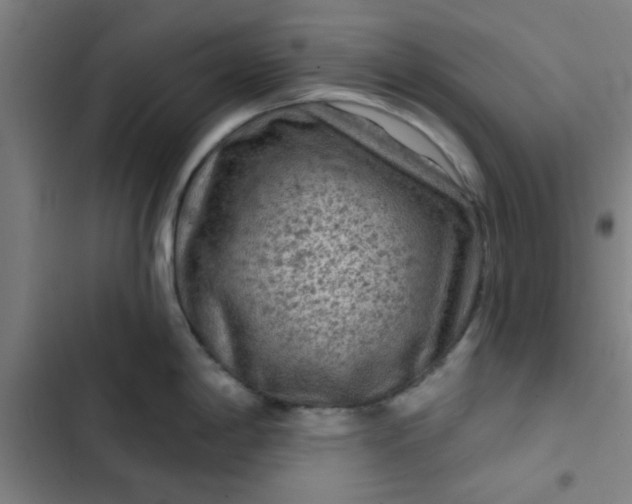 X0000102461198200808221612