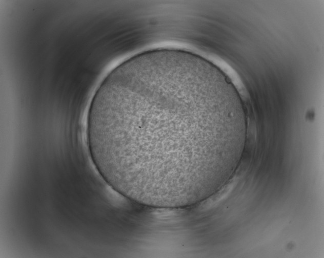 X0000102461199200808221612