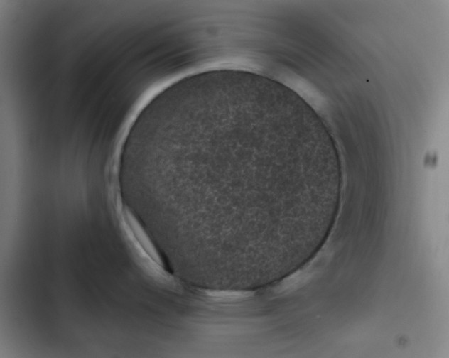 X0000102461200200808221612