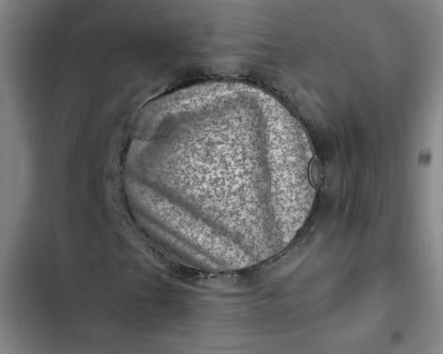 X0000102461201200808221611