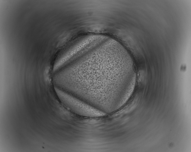 X0000102461202200808221611