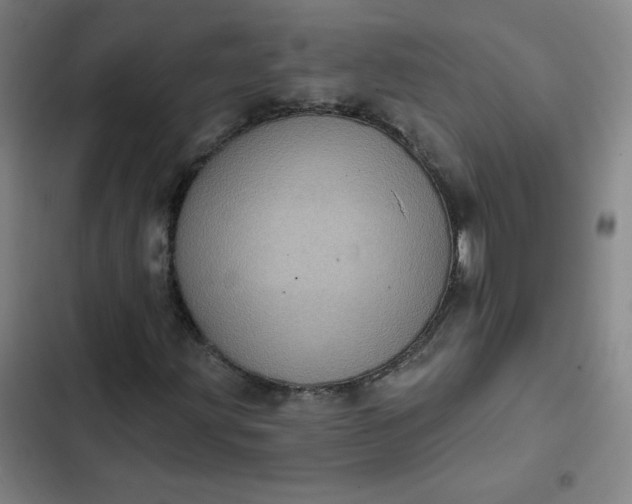 X0000102461203200808221611