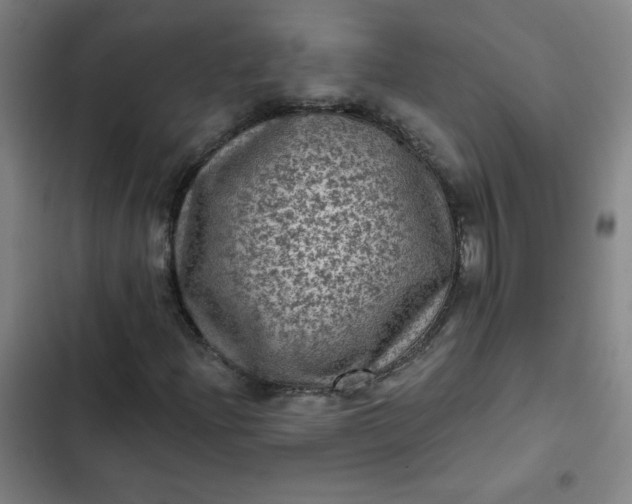 X0000102461204200808221611