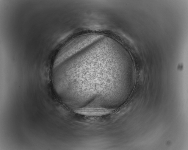 X0000102461205200808221611