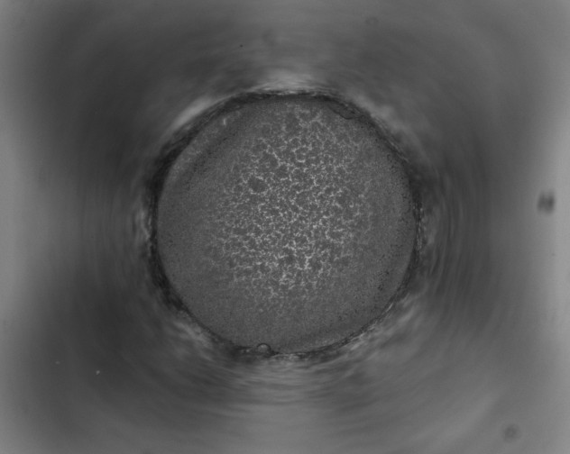 X0000102461206200808221611