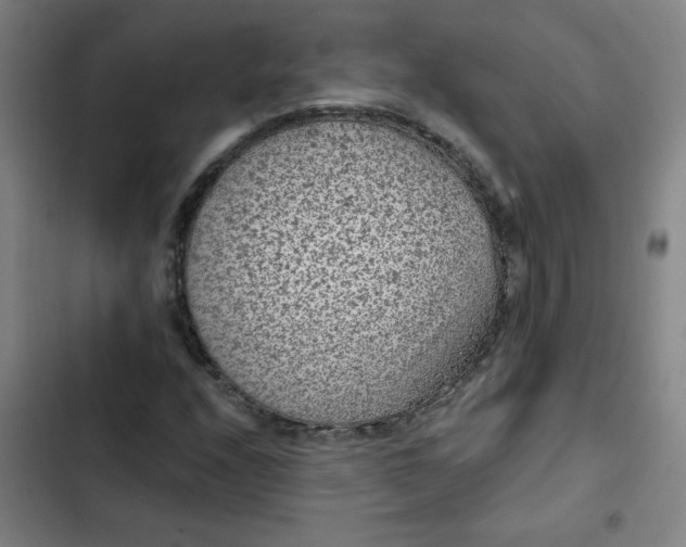 X0000102461208200808221611