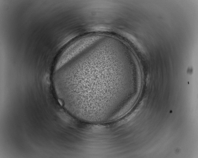 X0000102461209200808221611