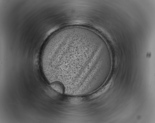 X0000102461210200808221611