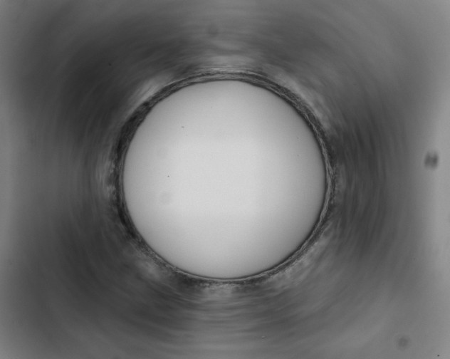 X0000102461211200808221611