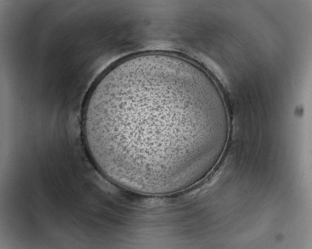 X0000102461212200808221611