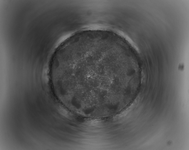 X0000102461213200808221611