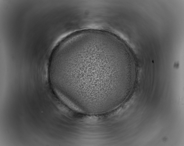 X0000102461214200808221611