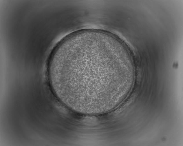 X0000102461215200808221611