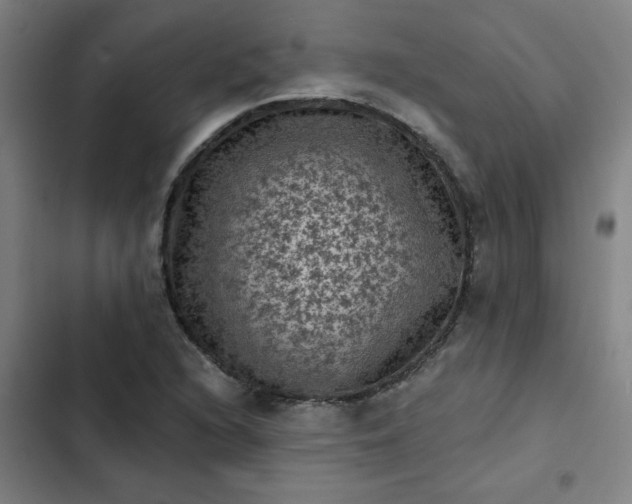 X0000102461216200808221611