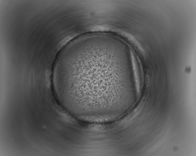 X0000102461217200808221611