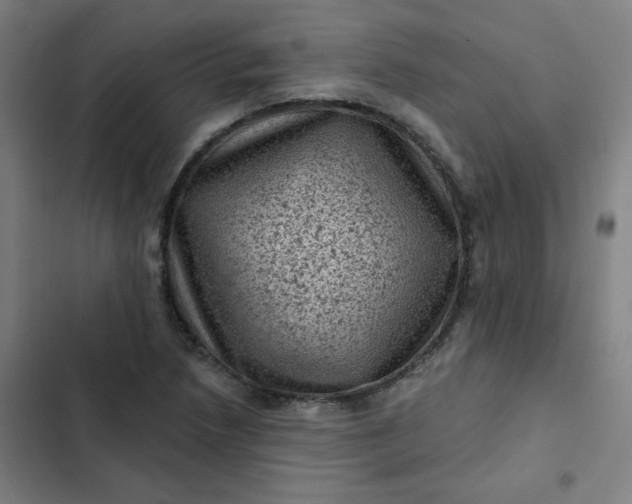 X0000102461218200808221611