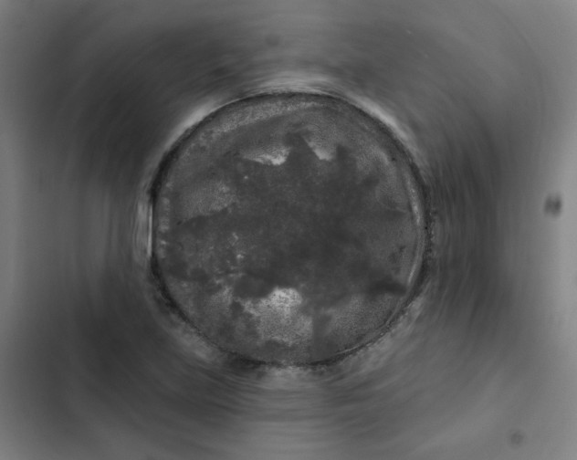 X0000102461219200808221611