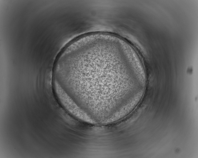 X0000102461220200808221611