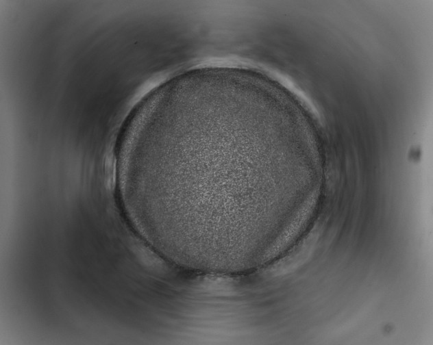 X0000102461221200808221611