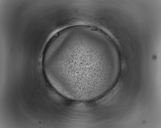 X0000102461222200808221611