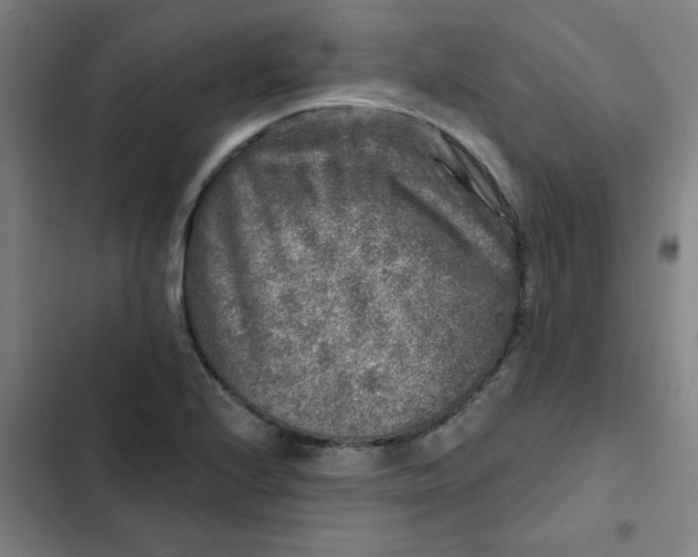 X0000102461224200808221611