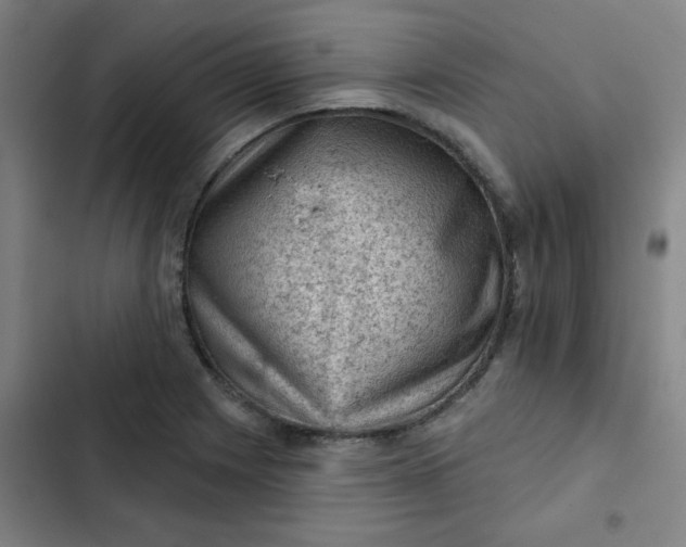 X0000102461225200808221611