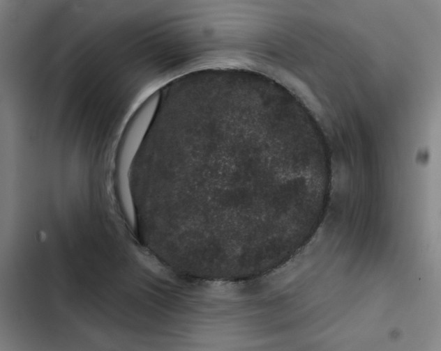 X0000102461226200808221611