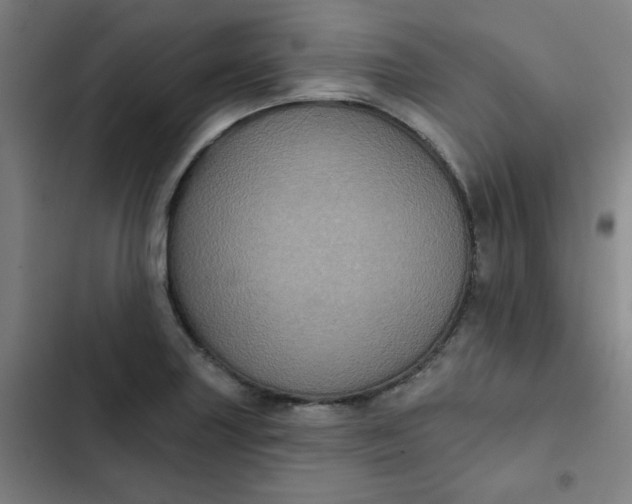 X0000102461227200808221611