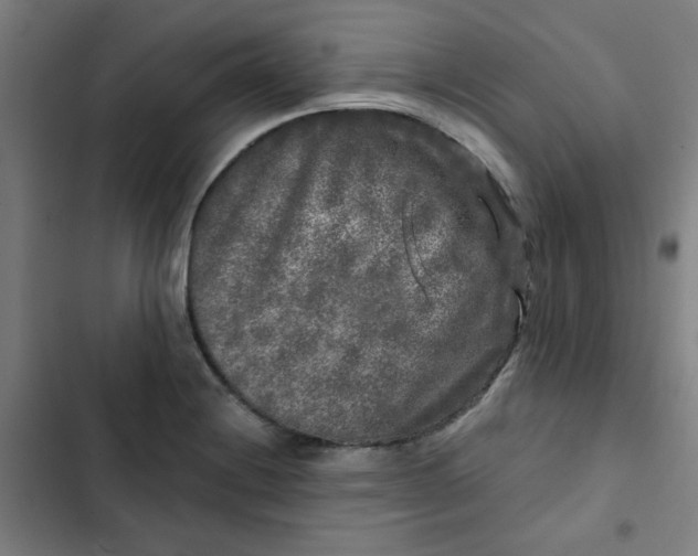 X0000102461228200808221611