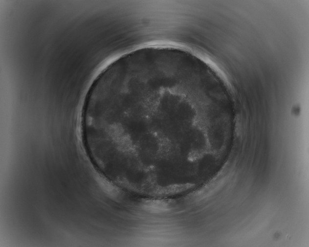 X0000102461229200808221611